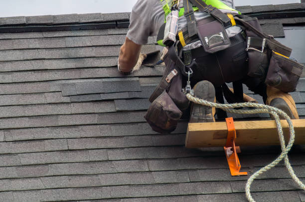 Reliable Roof Replacement contractor in Franklin Park, FL by Brentwood Metal Roofing